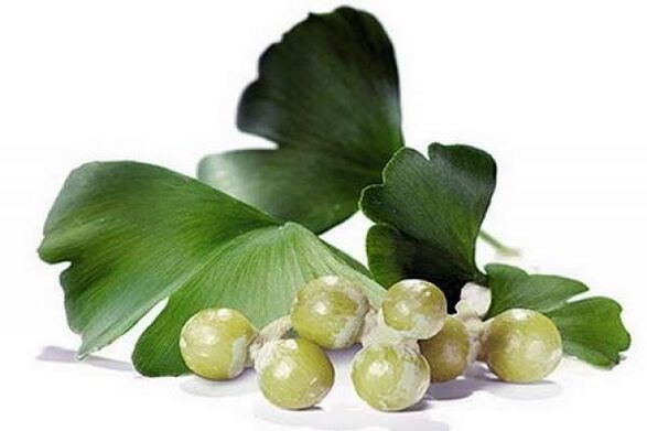 Ginkgo Biloba kişi potensialını artırır